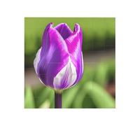 Vibrant Brick Puzzle Building Blocks for Creative Fun DIY Jigsaw Desk Decor Purple Tulip Print