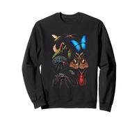 Vibrant Bug Collection Design Mantis Beetle Butterfly Insect Sweatshirt