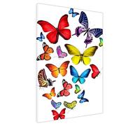 Vibrant Butterfly Symphony Framed Animal Wall Art Prints for Living Room, Bedroom, Hallway - Wildlife Home Décor Large (102 x 76 cm - 40" x 30" inch)