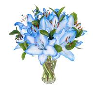 Vibrant Fresh Ocean Lilies Bouquet: Delivered for Birthdays & All Occasions!