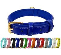 Vibrant Genuine Leather Adjustable Dog Collar with Soft Neoprene Padding, Metal Buckle and D-Ring, For Small, Medium & Large Dogs (Blue, X-Large (45-55cm Neck))