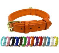 Vibrant Genuine Leather Adjustable Dog Collar with Soft Neoprene Padding, Metal Buckle and D-Ring, For Small, Medium & Large Dogs (Orange, X-Large (45-55cm Neck))