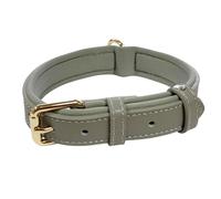 Vibrant Genuine Leather Adjustable Dog Collar with Soft Neoprene Padding, Metal Buckle and D-Ring, For Small, Medium & Large Dogs (Silver, Medium (28-36cm Neck))