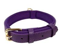 Vibrant Genuine Leather Adjustable Dog Collar with Soft Neoprene Padding, Metal Buckle and D-Ring, For Small, Medium & Large Dogs (Purple, Medium (28-36cm Neck))