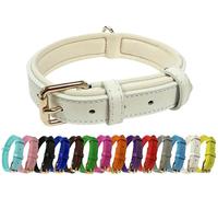Vibrant Genuine Leather Adjustable Dog Collar with Soft Neoprene Padding, Metal Buckle and D-Ring, For Small, Medium & Large Dogs (White, Large (35-45cm Neck))
