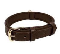 Vibrant Genuine Leather Adjustable Dog Collar with Soft Neoprene Padding, Metal Buckle and D-Ring, For Small, Medium & Large Dogs (Brown, Medium (28-36cm Neck))