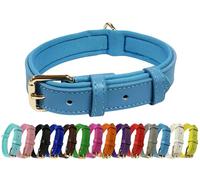 Vibrant Genuine Leather Adjustable Dog Collar with Soft Neoprene Padding, Metal Buckle and D-Ring, For Small, Medium & Large Dogs (Sky Blue, Small (25-33cm Neck))