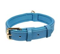 Vibrant Genuine Leather Adjustable Dog Collar with Soft Neoprene Padding, Metal Buckle and D-Ring, For Small, Medium & Large Dogs (Sky Blue, Medium (28-36cm Neck))