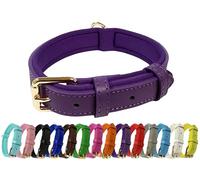 Vibrant Genuine Leather Adjustable Dog Collar with Soft Neoprene Padding, Metal Buckle and D-Ring, For Small, Medium & Large Dogs (Purple, Large (35-45cm Neck))