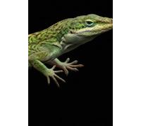 Vibrant Green Gecko Composition Notebook: College Ruled Lined Journal for Reptile Lovers, Lizard Enthusiasts