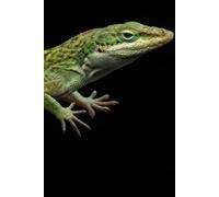 Vibrant Green Gecko Composition Notebook: College Ruled Lined Journal for Reptile Lovers, Lizard Enthusiasts, Herpetology Students & Kids | 110 Pages, 6 x 9 Inches, Matte Cover