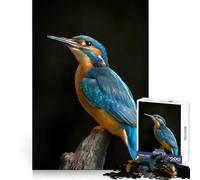 Vibrant Kingfisher Portrait on Branch Jigsaw Puzzles 1000 Pieces Brain Exercise Calm Recreation Precision Cut Meaningful Gift (38x52cm)