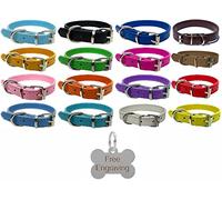 Vibrant Leather Dog Collar for Puppy, Dogs Small, Medium & Large with Personalised Engraved Silver Bone Shaped Tag (X-Large (45cm - 55cm Neck), Baby Blue)