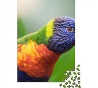Vibrant Rainbow Lorikeet Portrait 1000 Piece Jigsaw Puzzle, 52x38cm/1000pcs, for Adults, Screen-Free Activity, Evening Leisure And Puzzle Lovers