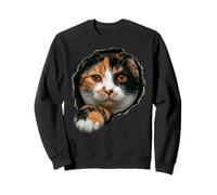 Vibrant Tricolor Calico Cat Peeking Through Sweatshirt