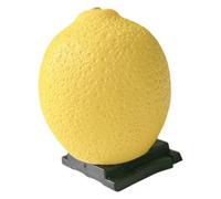 Vibranted Camera Hotshoe Protector Decorative Fruit Pattern Dustproof Cover for Professional Imaging Systems Resin Fruit Camera Accessory