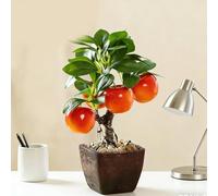 Vibsky Artificial Fruit Tree Bonsai, Realistic for Plastic Faux Plant Desk Shelf Decor, Low Maintenance Home Office Greenery