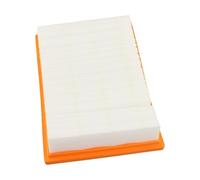 Vibsky Compatible Filter EGO Power+ WDV0900 for Vacuum, AVF0900 Replacement, 05 Fine Dust Trap Accessory
