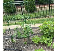 Vibsky Sturdy Tomato Cage Support Frame, Versatile PP Plant Trellis Climbing Vegetables, Includes Fiberglass Poles, Green