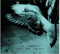 Vic Chesnutt - North Star Deserter