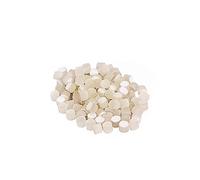 VICASKY 100pcs Luminous Guitar Fretboard Dots 5.0mm Seashell Inlays for Guitar Ukulele Bass Mandolin Glow-in-the-Dark Fret Markers Easy Installation Decorative Accessories