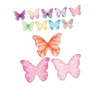 VICASKY 12grids Acrylic Butterfly Nail Charms Nail Art Gems Decor for Cute Manicure Diy Crafts Jewelry Accessories