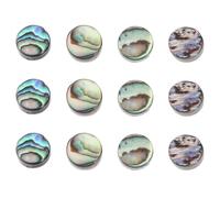VICASKY 12pcs Abalone Paua Shell Inlay Dots Fretboard Markers for Ukulele Mandolin Bass Banjo Guitar Fretboard Inlays Dots for Instrument Repair