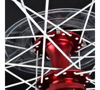 VICASKY 2pcs Bike Flywheel Guard Abs Cover for Mountain and Road Bikes Prevent Spokes from Falling off Protect Rear Flywheel Wire for Family and Friends Riding Accessories