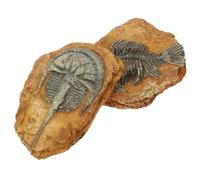 VICASKY 2Pcs Creative Terrarium Decor Simulation Fossil Reptile Box Landscape Design for Gecko Accessories Durable Material for Home Decor DIY Landscape