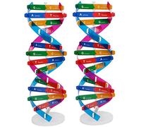 VICASKY 2pcs Dna Double Helix Model Components for Science Teaching Interactive Educational Tool for Biology Classroom Experiments and Learning Activities