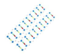 VICASKY 2pcs Dna Double Helix Molecular Model Kit for Biology Teaching Human Genes Components Educational Science Tool for High School to University Laboratory and Classroom Use
