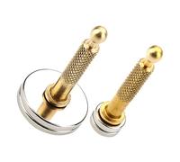 VICASKY 2pcs Guitar Panel Repair Tool Electric Guitar Magnet Replacement Magnet