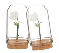 VICASKY 2Pcs Miniature Flower in Dome Tiny Potted Plant Display for Dollhouse Decor Unique Miniature Scene Model for Fairy Gardens Centerpieces