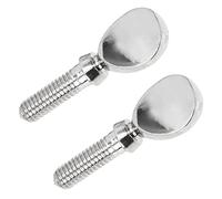 VICASKY 2pcs Silver Metal Flute Head Screws Replacement for Alto Tenor B♭ E♭ Sax Clarinet Reed Instrument Repair Wind Instrument Accessories