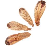 VICASKY 4pcs Natural Foraging Chew for Parakeets and Cockatiels Small Bird Biting Enrichment for Mental Health and Beak Grinding