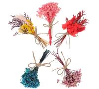 VICASKY 5 Bundles Dried Flowers Bouquet Dried Flowers Boutonniere Artistic Timeless Elegant Small for Wedding and Shop Decoration