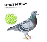 VICASKY 50pcs Aluminium Plastic Racing Pigeon Leg Rings for Secure Fit and Easy Identification Foot Bands for British Homing Pigeons in Competitions