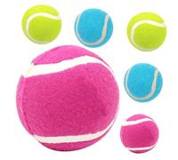 VICASKY 6pcs Dog Rubber Balls for Dogs High Elasticity Interactive Puppy Bright Color Chewable Training Balls for Indoor Outdoor Play Pet Fetch