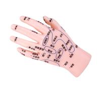 VICASKY Accurate Hand Reflexology Training Model with Detailed Acupuncture Points for Traditional Chinese Medicine Education PVC Material for Medical and Massage Learning