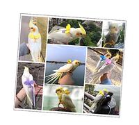 VICASKY Adjustable Parrot Harness with Angel Wings Flying Traction Rope for Birds Elastic Strap Durable and Comfortable Fit for Outdoor Flight Training Suitable for Pet Parrots and Birds