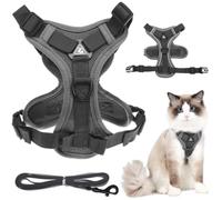 VICASKY Adjustable Polyester Vest Harness for Small Dogs and Cats, Comfortable Design with Reflective Breathable Material, Suitable for Walking Pets Weighing 6-9kg Outdoor Use Size L