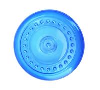 VICASKY Bite-resistant Dog Disc Toy Large Size Blue Puppy Fly Disc for Outdoor Training Interactive Throwing Plate Toy for Medium and Large Dogs
