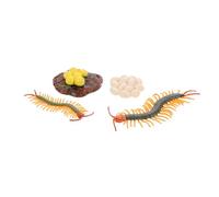 VICASKY Centipede Life Cycle Model Early Education Figurines for Realistic Growth Cycle Biology Teaching Prop and Safe Arthropod Learning for Homeschool and Preschool