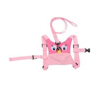 VICASKY Child Walking Strap Lost Belt Harness Leash Boys and Girls Safety Harness Leash
