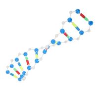VICASKY Double Helix Dna Model Educational Teaching Tool for Biology Class Self-assembling Interactive Display for Genetics and Learning Observation and Analytical Skills