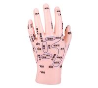 VICASKY Educational Hand Reflexology Model with Precise Acupoints for Tcm Instruction PVC Hand Simulation Tool for Pressure Point Massage and Acupuncture Practice