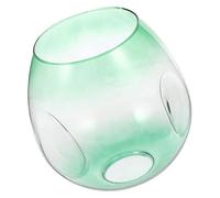 VICASKY Glass Lamp Shade Cover Oval Globe Shade for Pendant Ceiling Lights, Accessory, Modern Design
