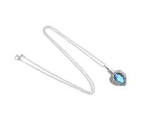 VICASKY Heart-shaped Pet Urn Pendant Necklace Stainless Steel Memorial Jewelry with Openable Design for Ashes Keepsake Symbolic Love Tribute for Dogs and Cats Elegant Dual-purpose