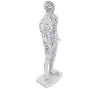VICASKY Human Body Acupuncture Model Male Mannequin with Detailed Meridian Points Teaching Tool for Chinese Medicine Students and Professionals Comprehensive Acupoint Display for Precise