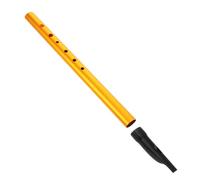 VICASKY Irish Whistle for Beginners C Key Recorder Whistle Flute for Boys and Girls Learning Traditional Folk Music Mouthpiece and Cloth Bag